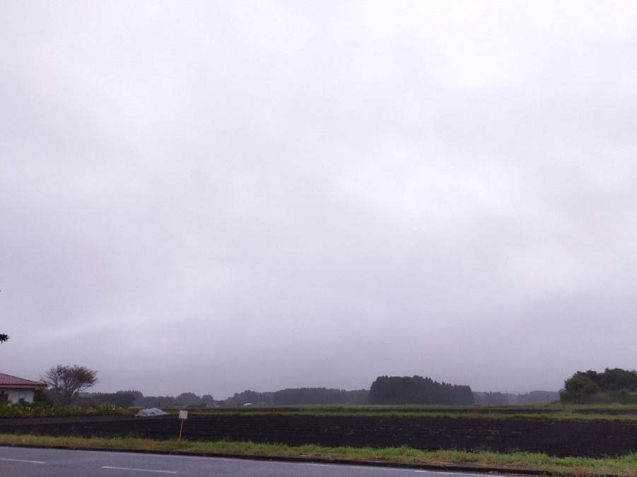 都城市（2022/9/1）今朝は小雨が降ってます😓🌂