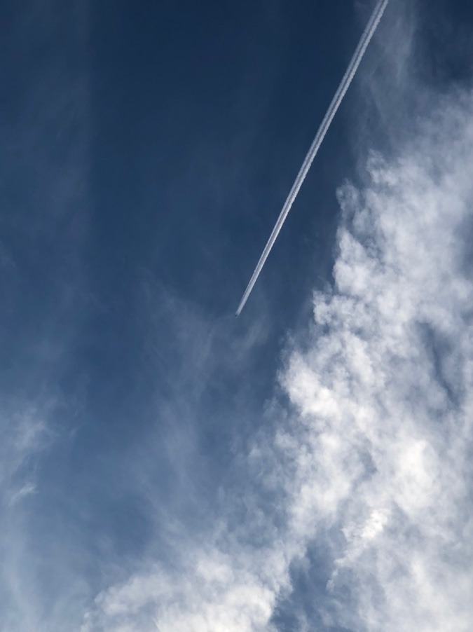 ✈️今日も☁️