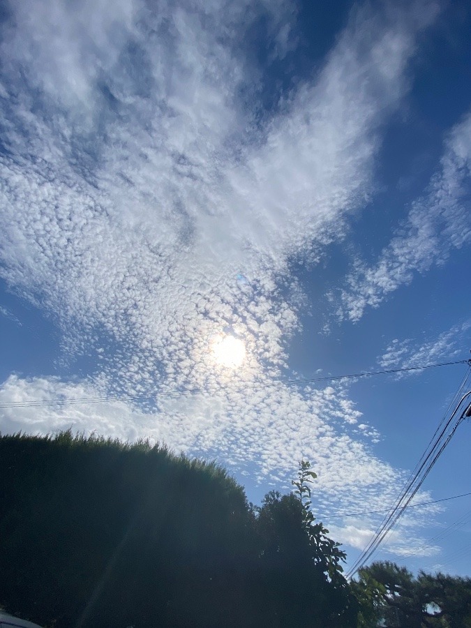 空☀️☀️☀️