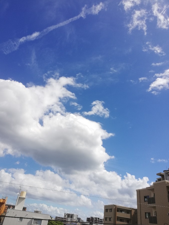 今日の空!