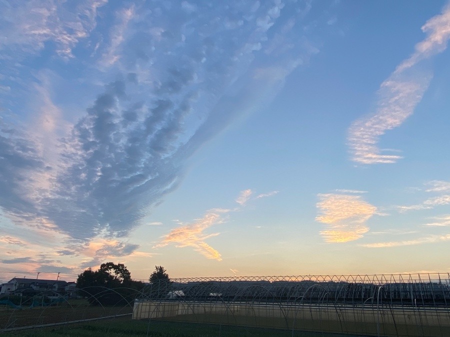 今朝の空　９／8