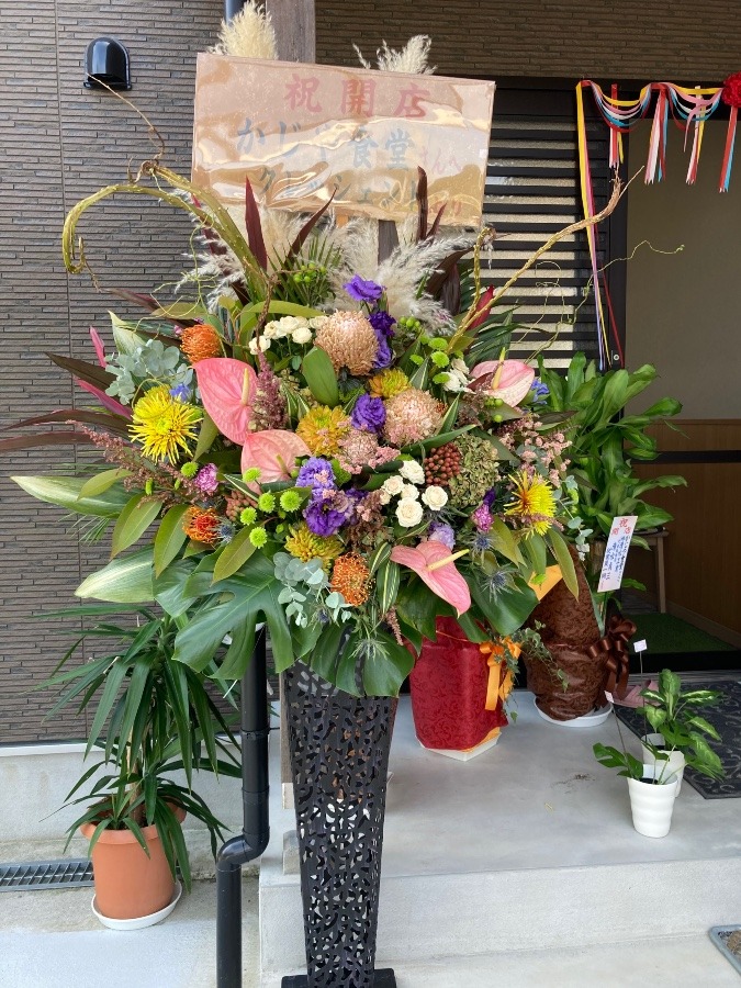 開店のお祝いのお花🌺