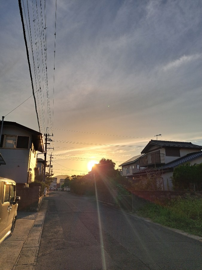 散歩の風景