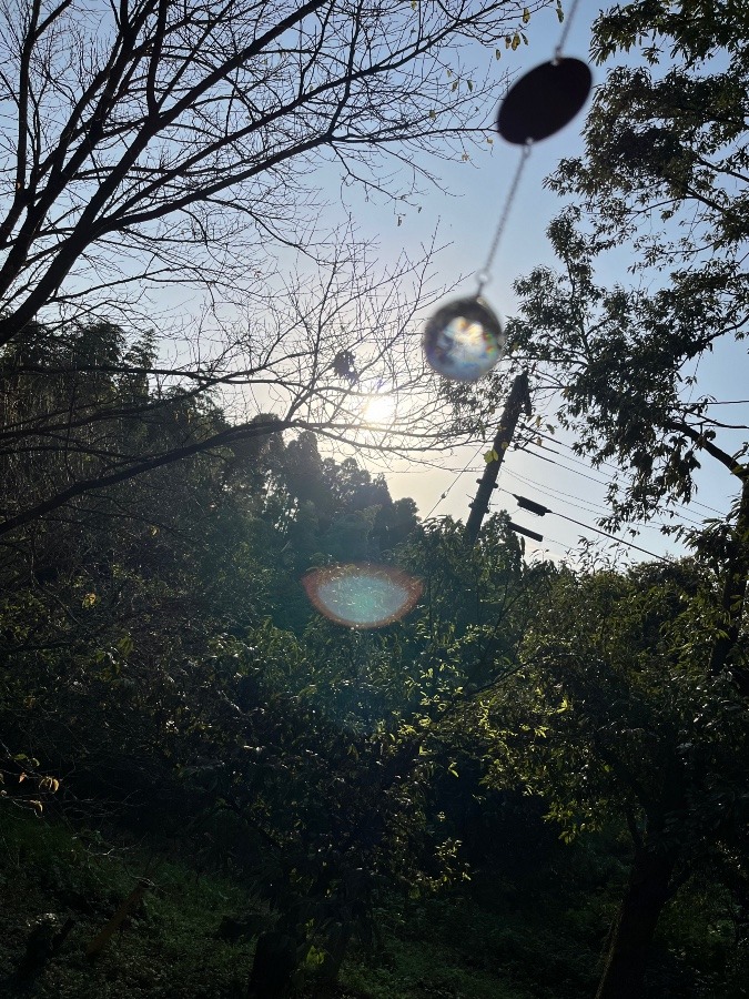 電気が復旧しましたー🍀