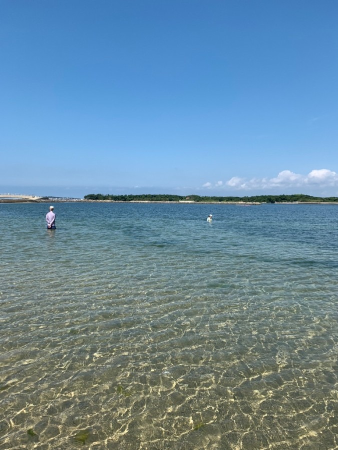 初夏の遊び