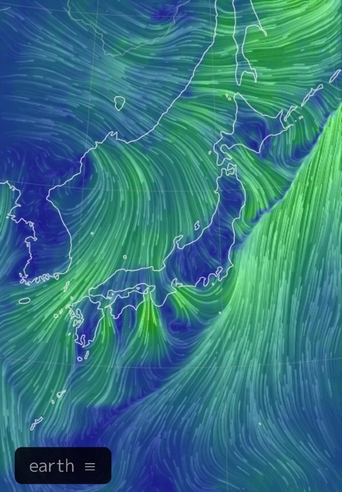 今回の台風は⁉️