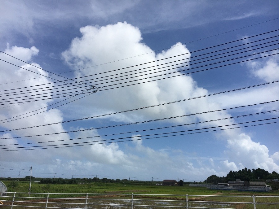 ⭕️空部→   いま空（≧∇≦）‼️124.