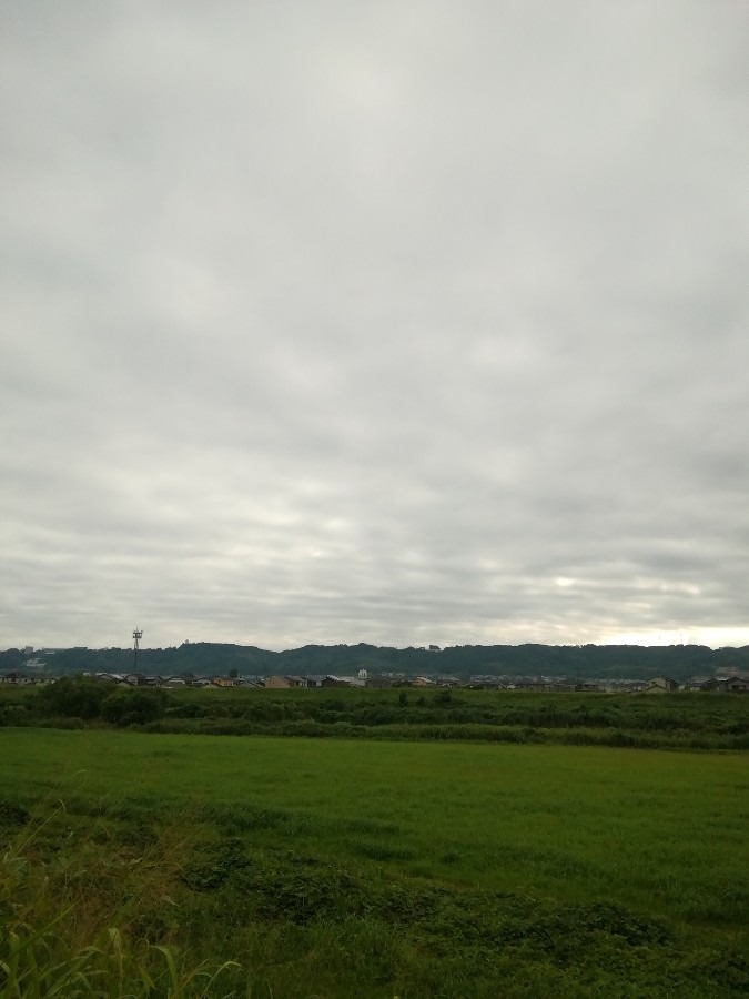 今朝の空