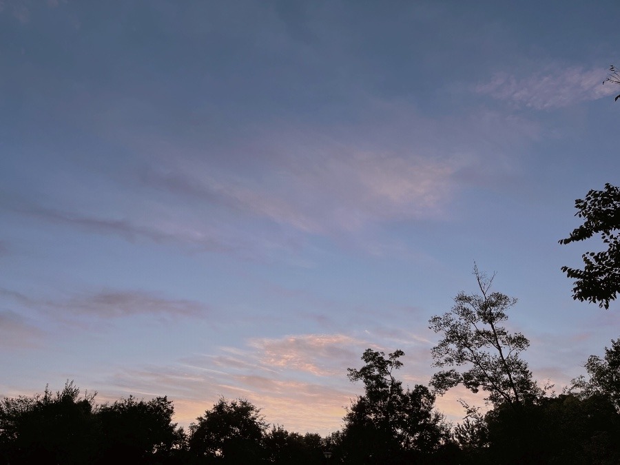 【朝の空】