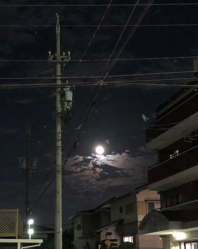 趣きがある🌕