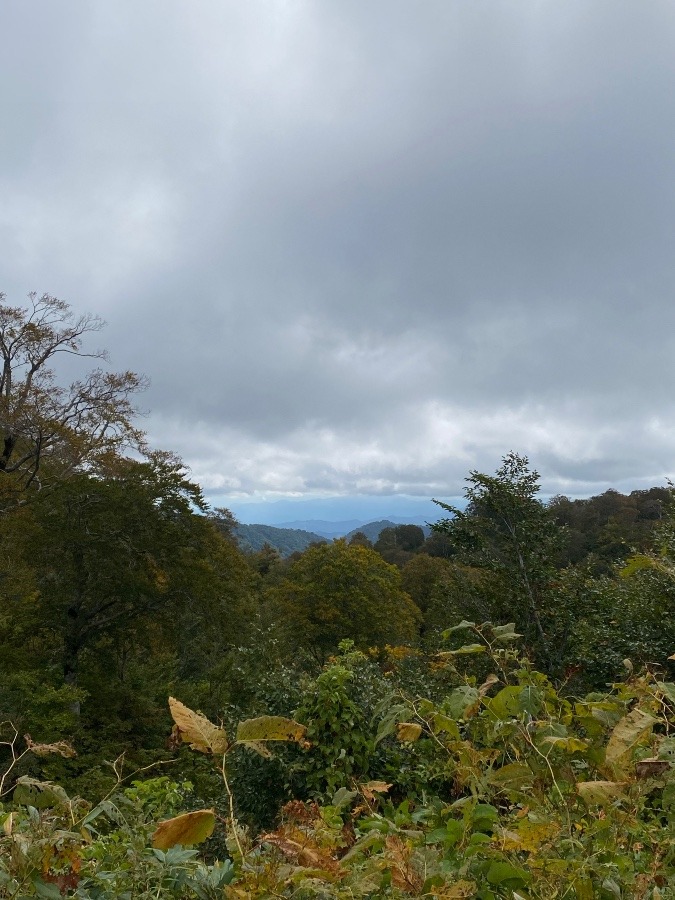 月山　姥沢小屋❗️