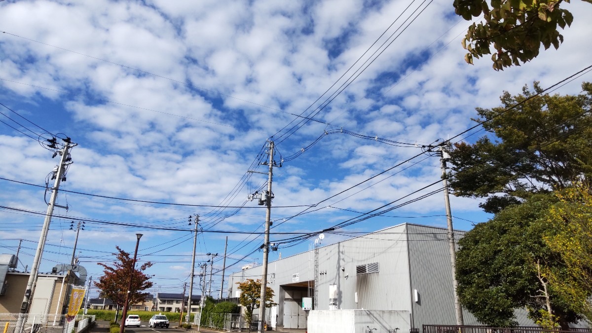 天気予報、あた～り～！