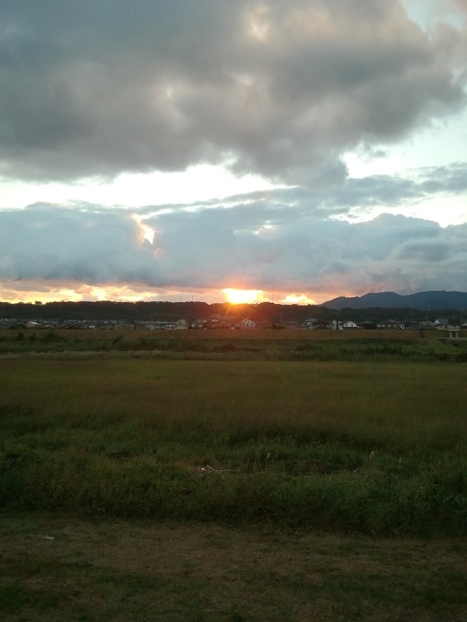 今朝の空