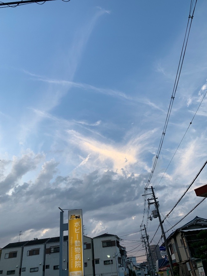 今空