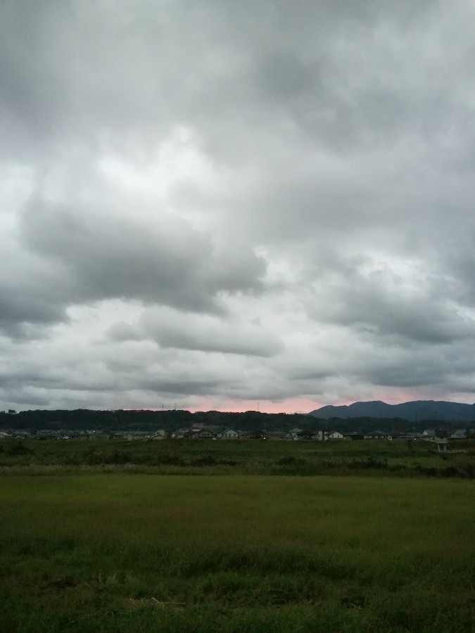 今朝の空