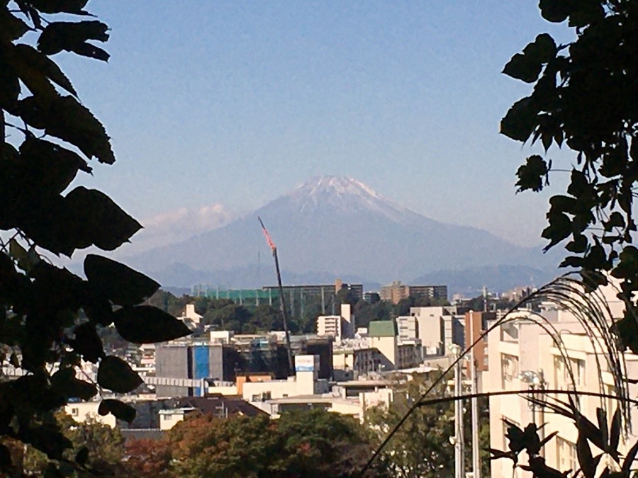 今日の富士山