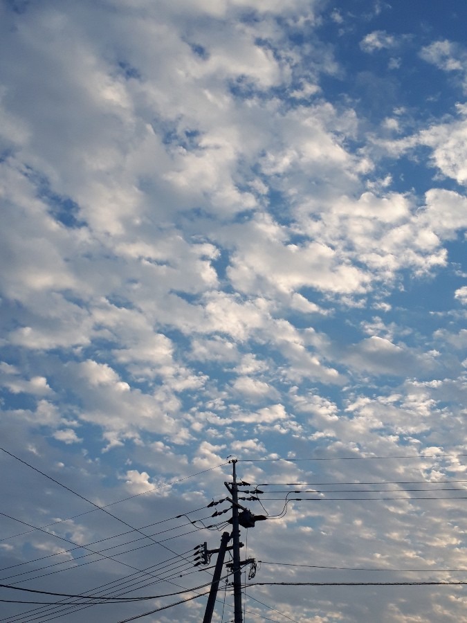 夕方5時の空