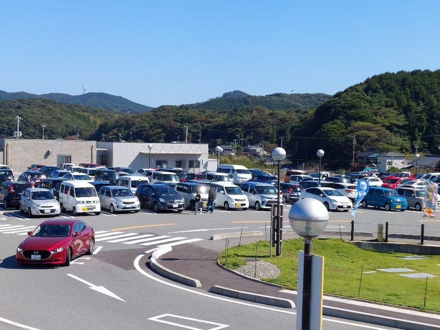 平日なのに駐車場いっぱい