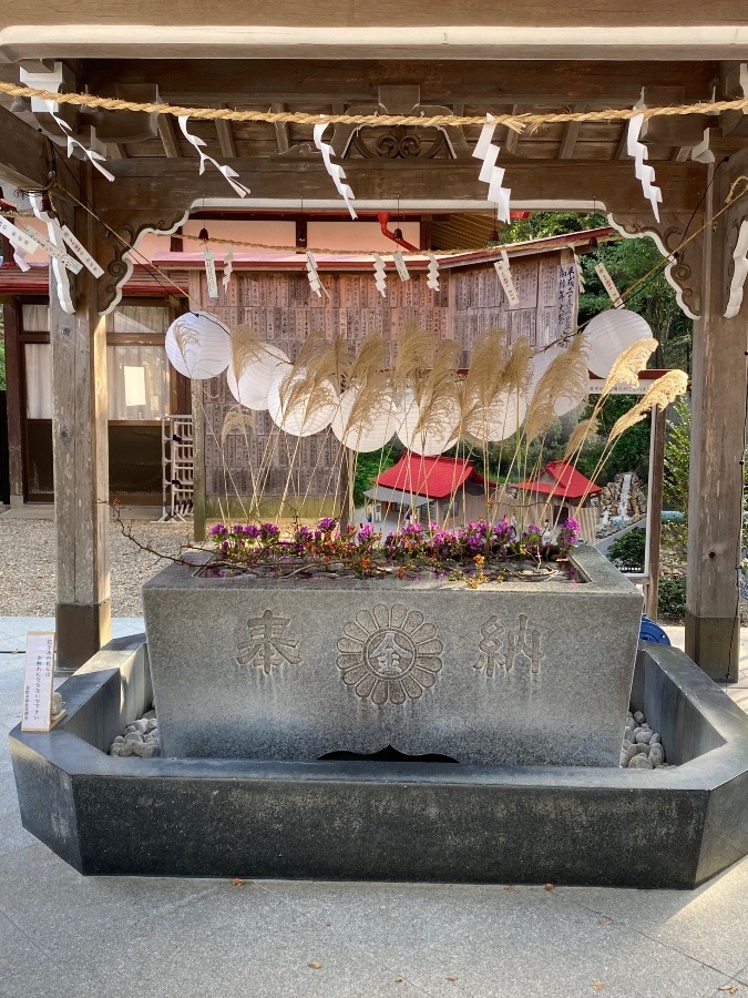 神社　花手水☀️☀️☀️