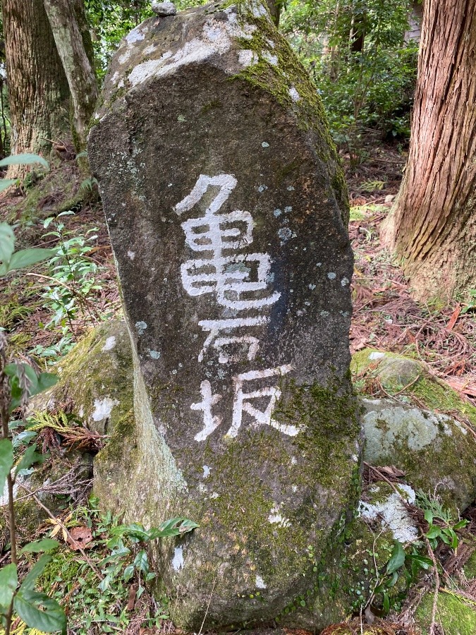 久しぶりの坂部、石部