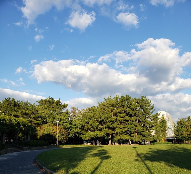 今日の空－10月19日