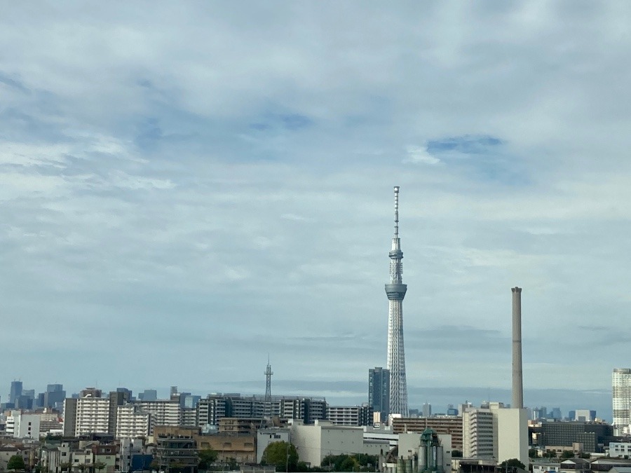 東京スカイツリー✨