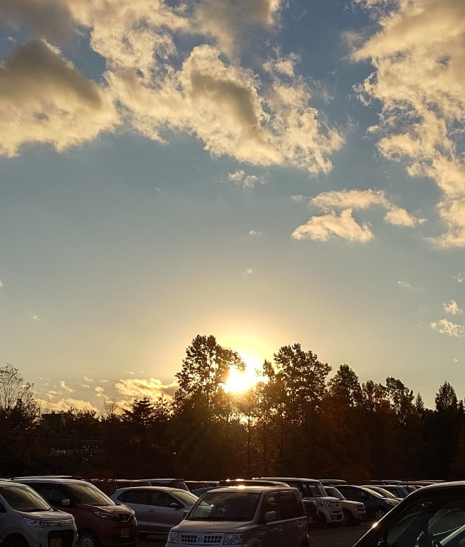 帰り道の夕陽🌇