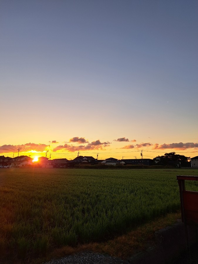 10/20　今朝の空