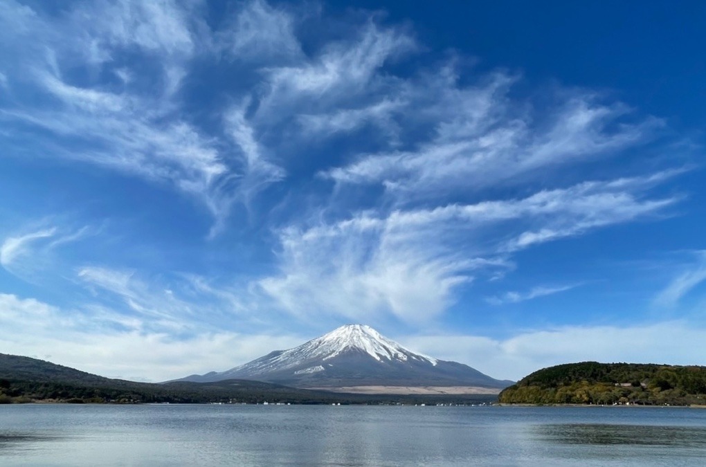 天舞🗻