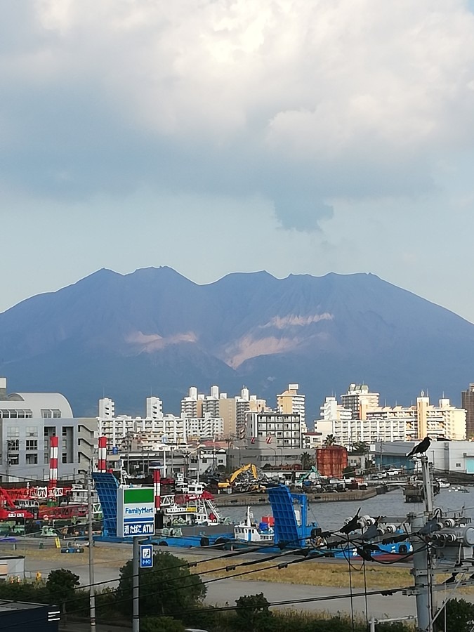 今日の桜島!