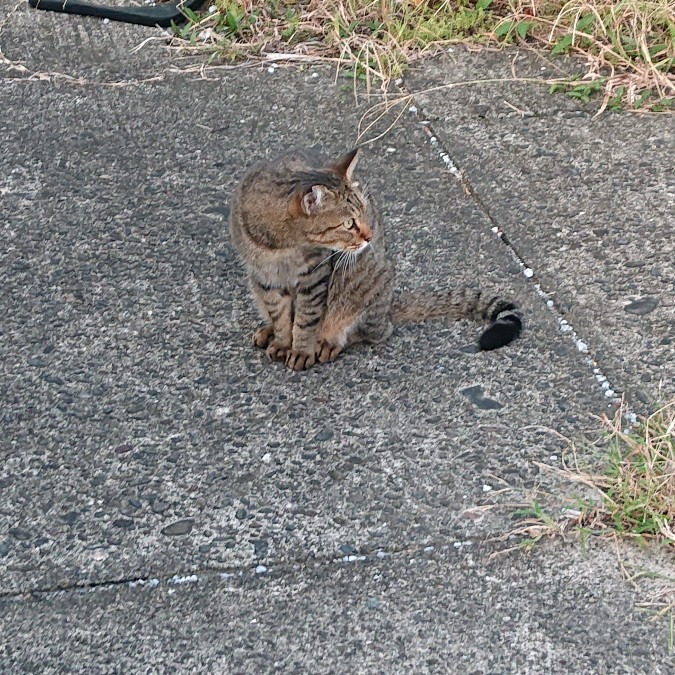 おかわり！まだかなぁ…