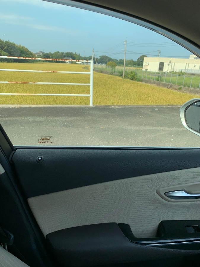 車窓から見た黄金の稲穂🌾