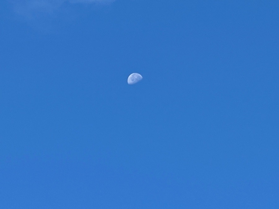 今朝の空