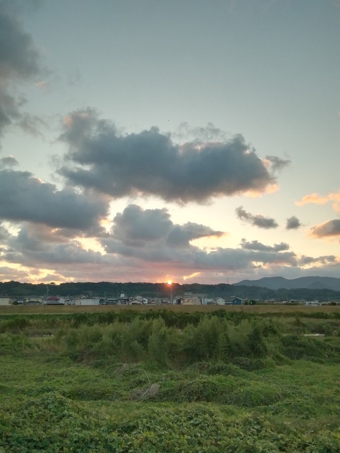 今朝の空