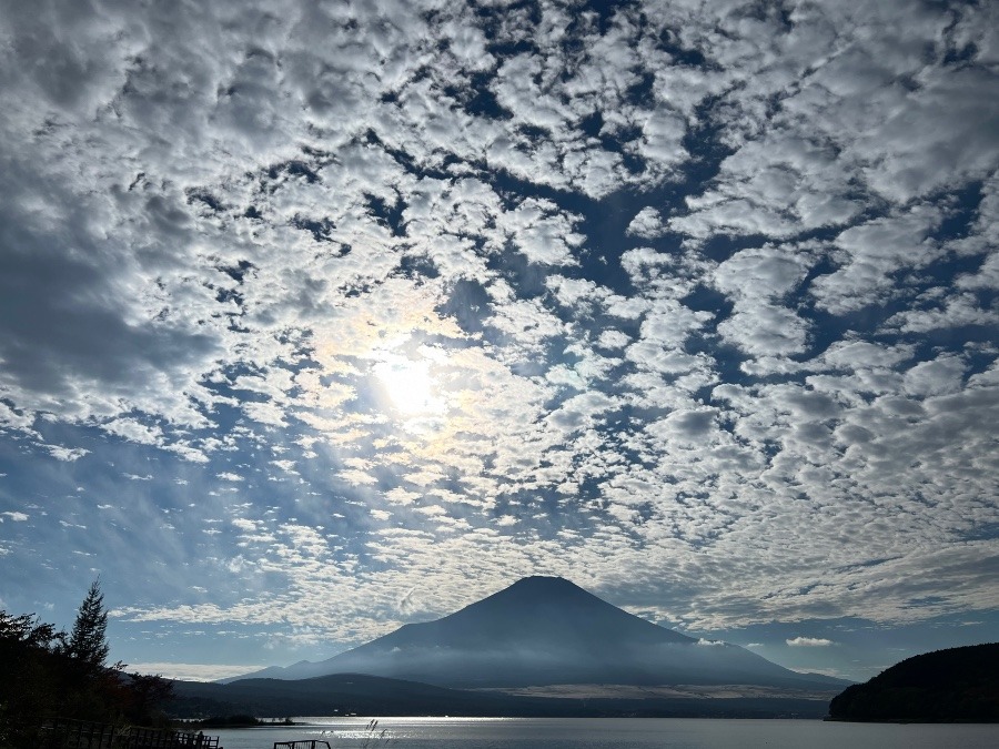 今日から1月まで🗻