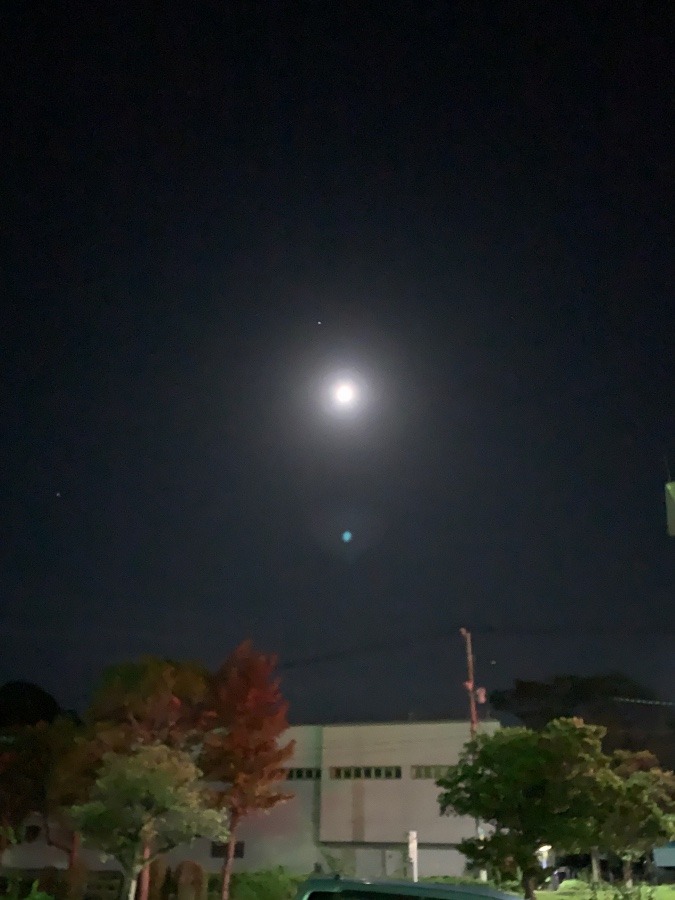 久しぶりに見た、小倉のお月様🌓