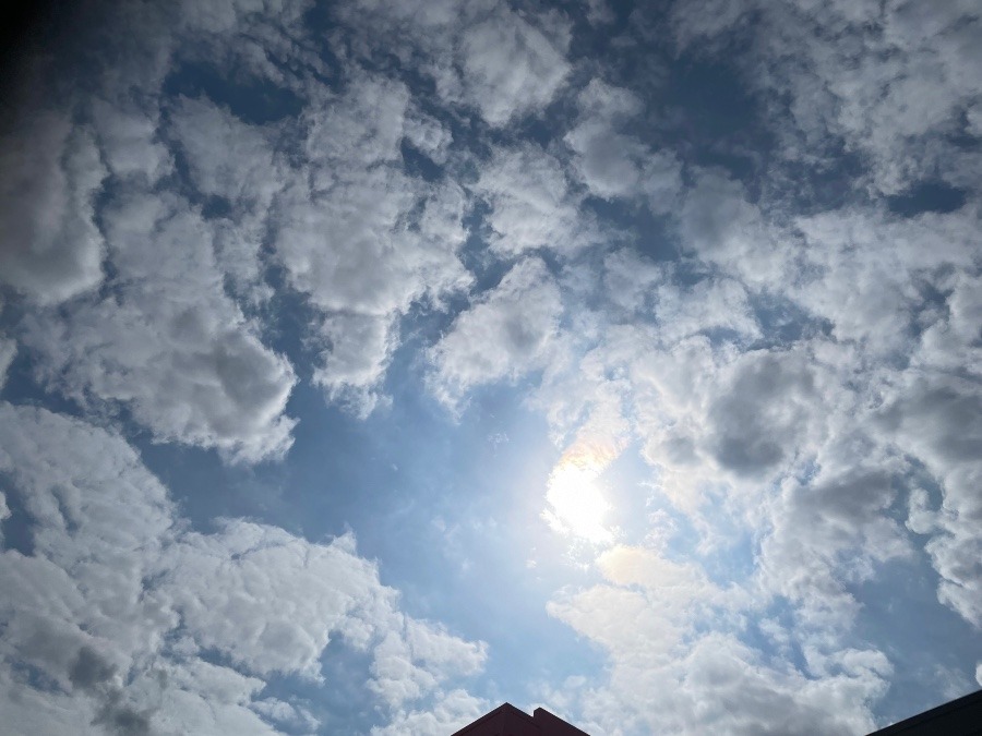 昼の空 12時半