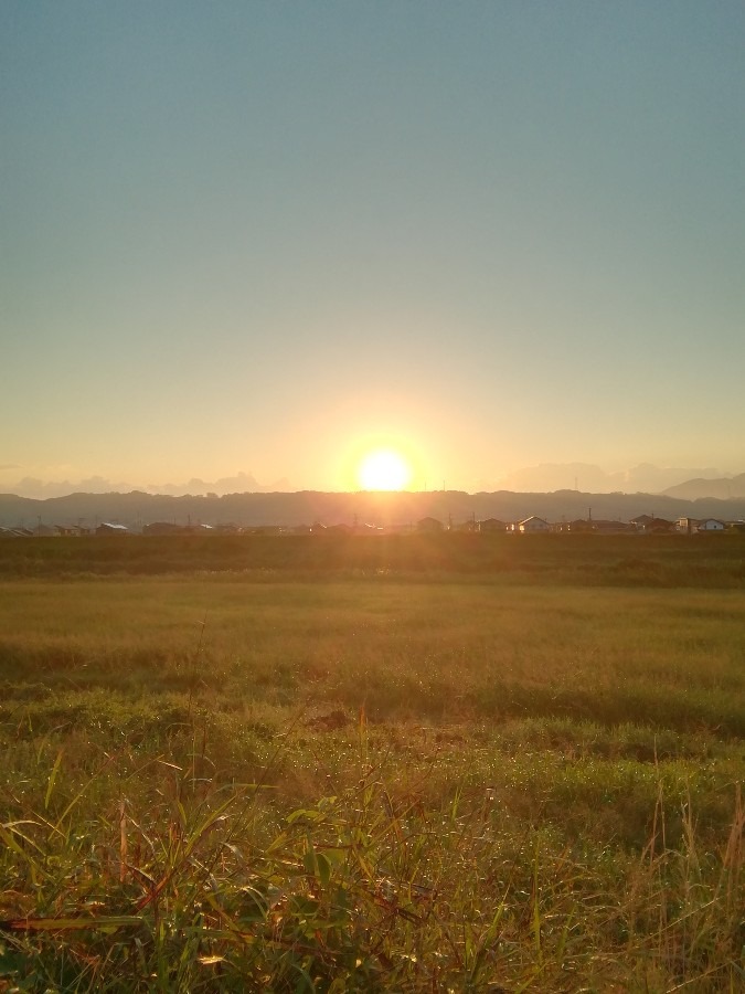 今朝の空②