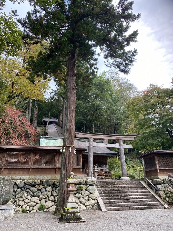 壬生川上神社下社　神社仏閣部活