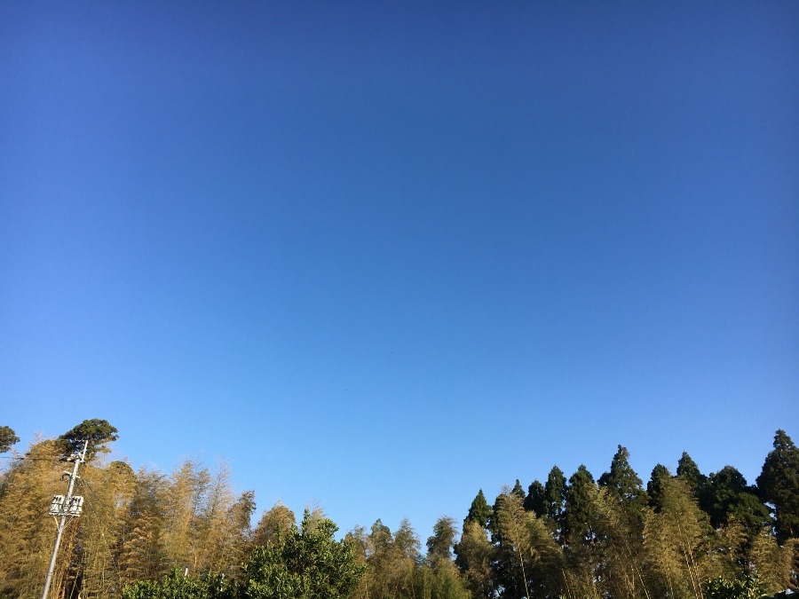 ⭕️空部→   いま空（≧∇≦）‼️197.