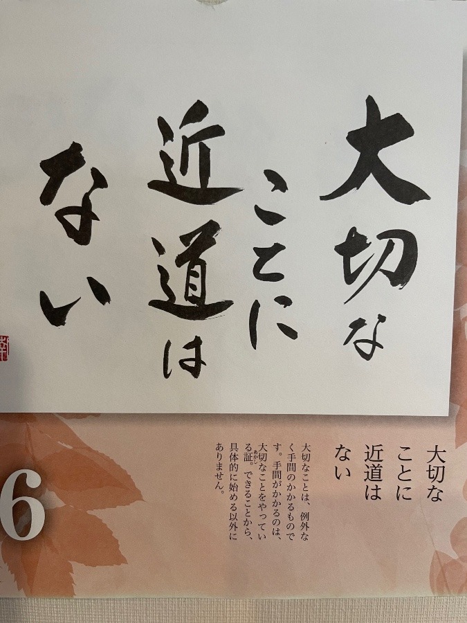 良樹細根