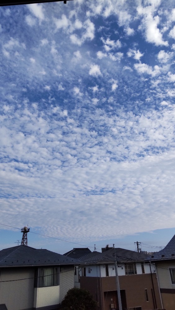 急がしすぎた今日の空！