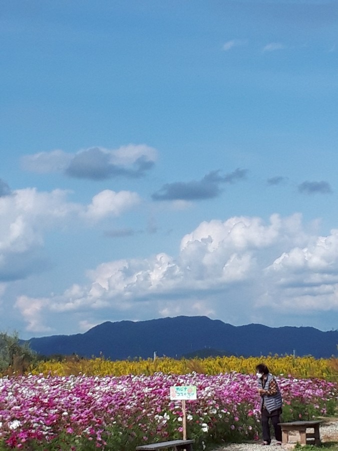 青空