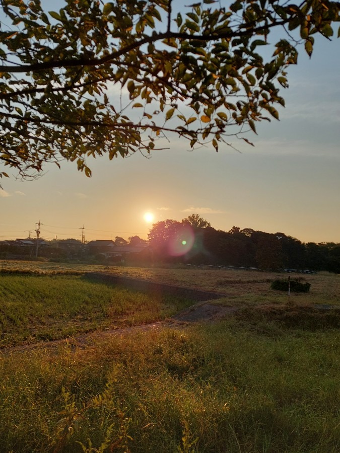 10/2今日の朝日