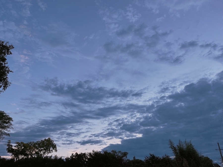 【朝の空】