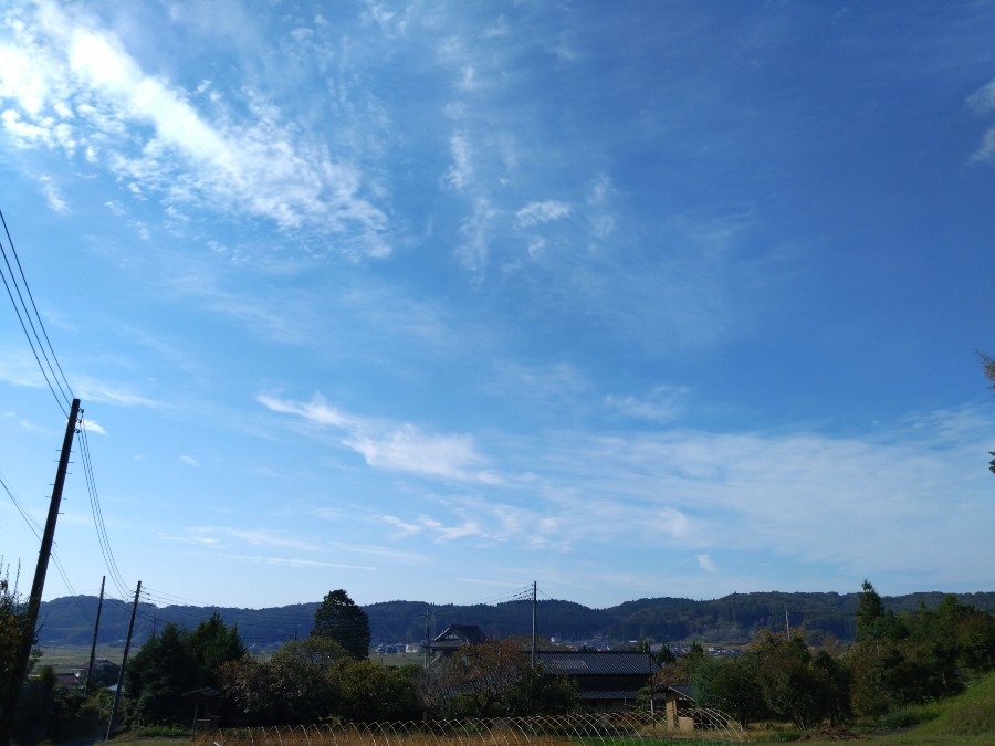 10/23今空