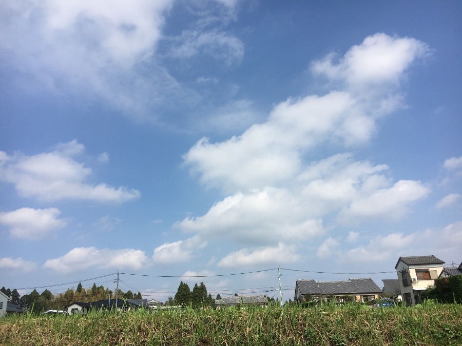 ⭕️空部→   いま空（≧∇≦）‼️195.