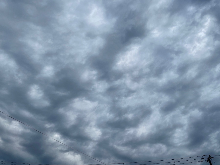 今朝の空