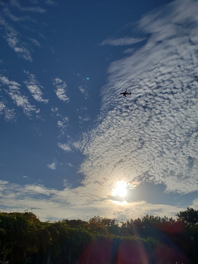 飛行機と太陽と雲と