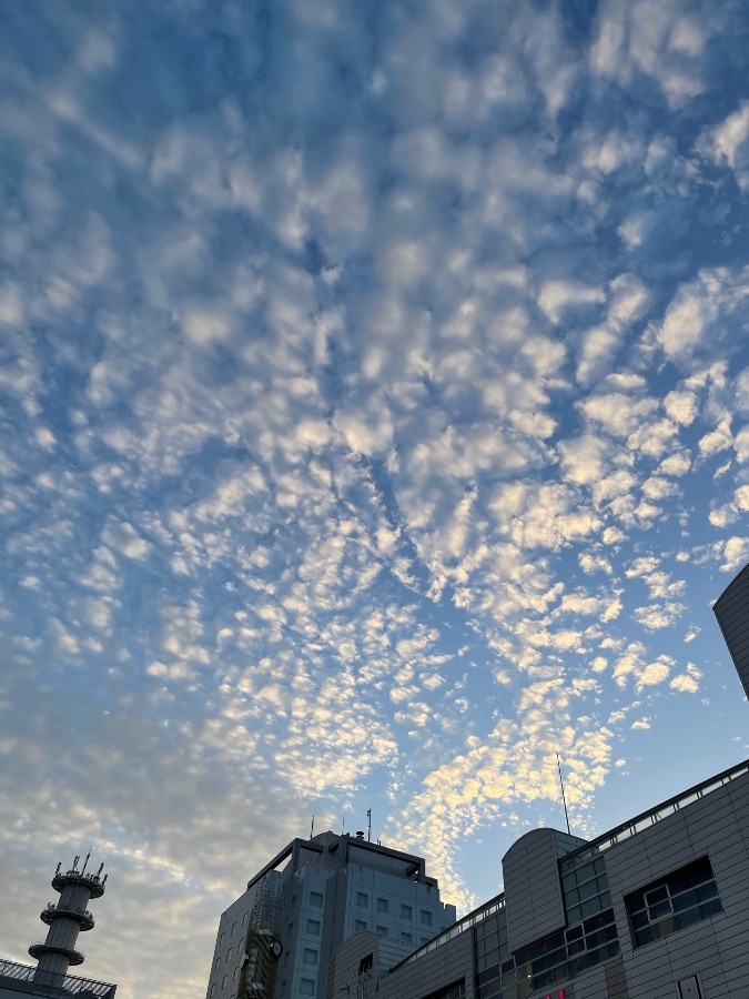 夕方の空